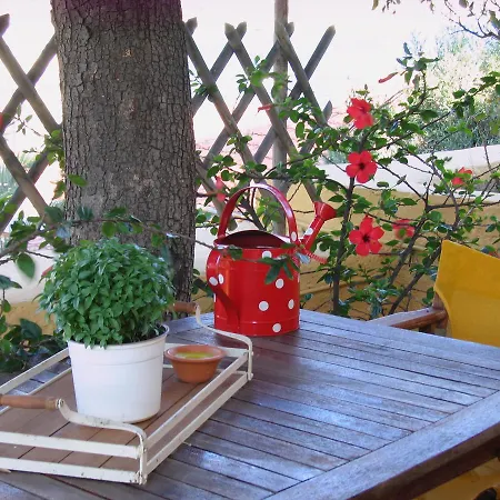 Eleni Vathy (Ithaca)