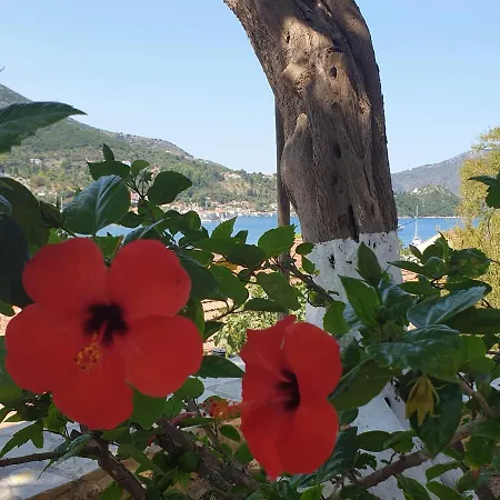 Eleni Vathy (Ithaca)