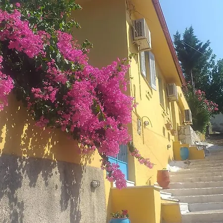 Eleni Maison d'hôtes Vathy (Ithaca)